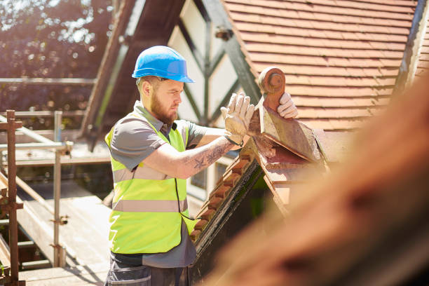 Best Gutter Installation and Roofing  in Darien, IL
